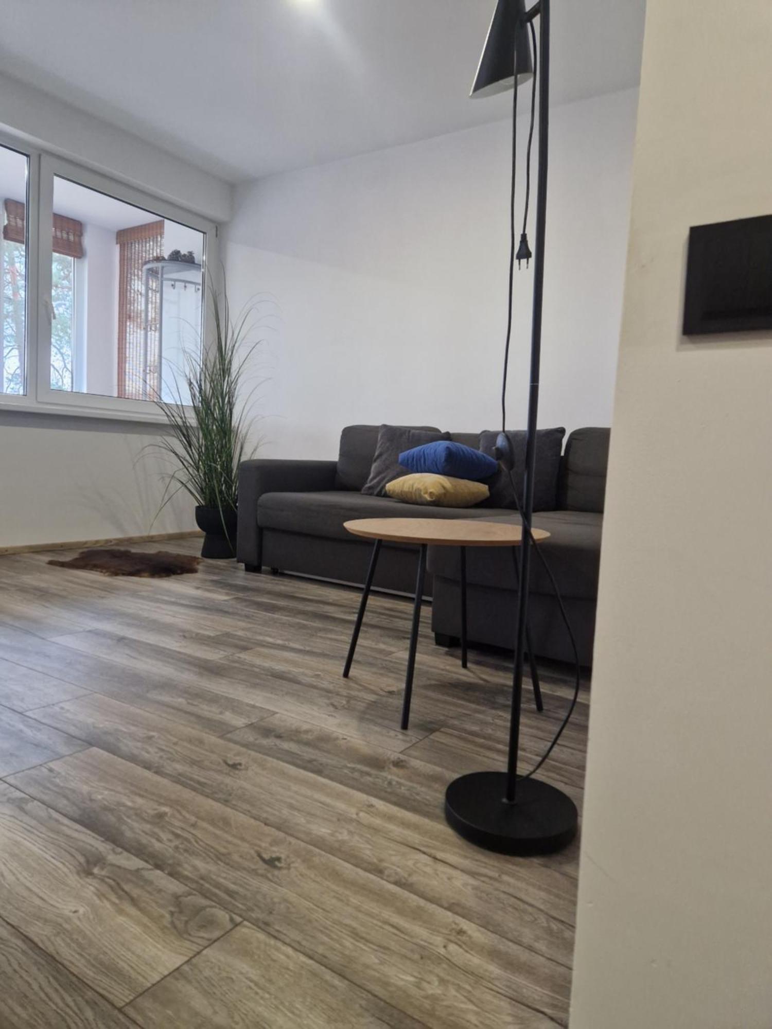 Duplex Apartment Vilte Druskininkai Exterior foto